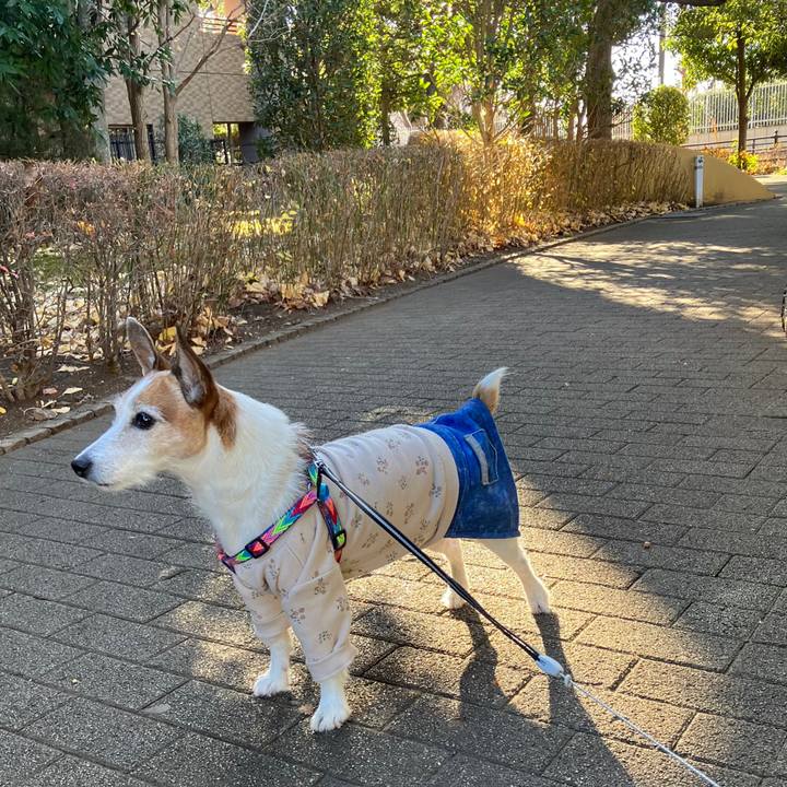 48d5253b a525 4073 aa87 c3c110e45e91 1704499423526