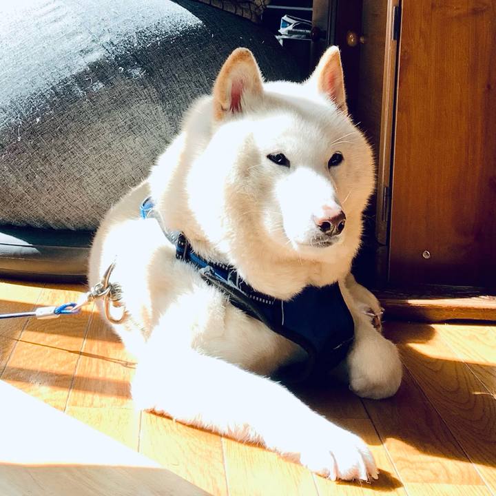 48d5281f 242d 4751 9fa4 b917cfe76b16 1646885967055