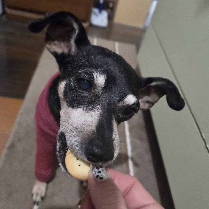 48d5425d 2cae 4059 91e7 8f4035270bb4 1766951278420