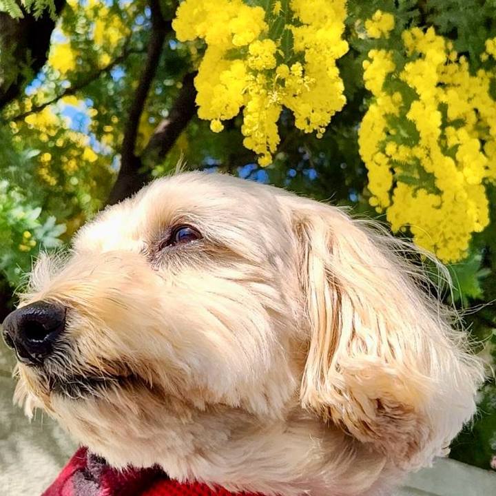 48d598de d5bc 46cc 8075 e000a939e222 1772770262022