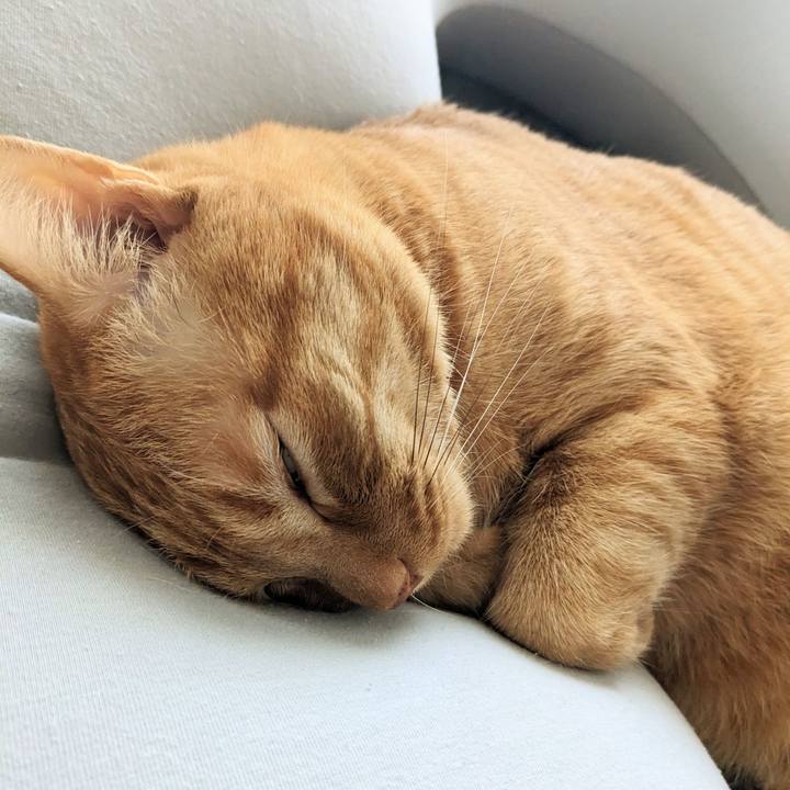 48d5a0ac 994d 4dec b2cf 3bce708fa54d 1673488238966