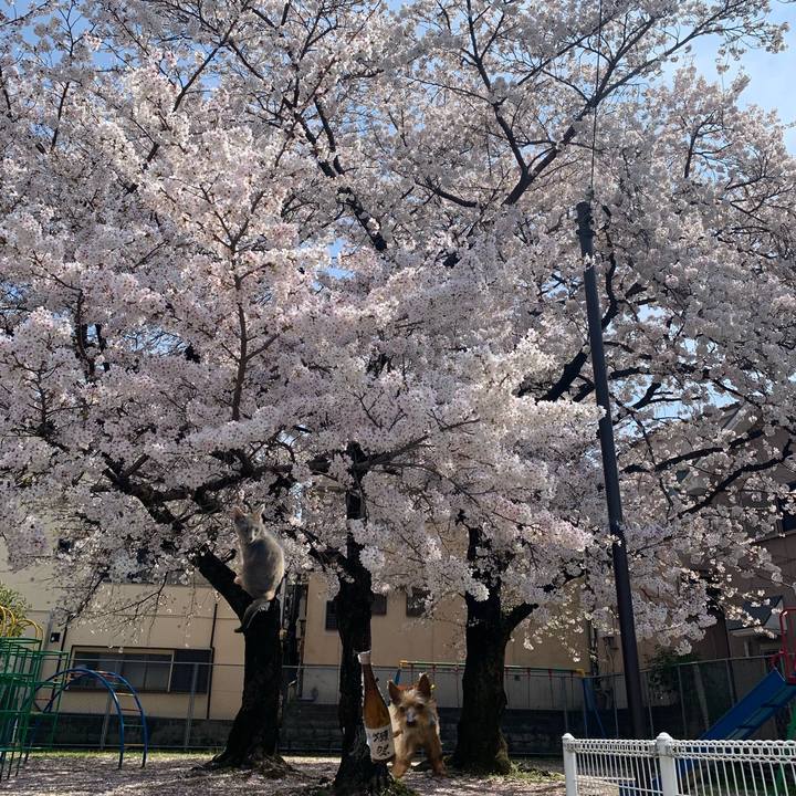 48d6005b 1d8a 40f1 bbd1 664ac384d54b 1680361250425