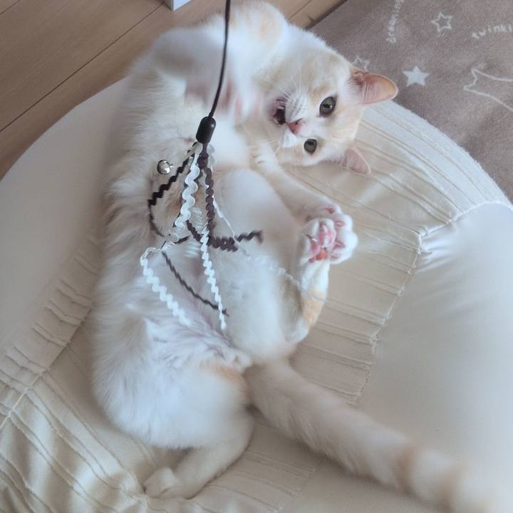 48d62311 09d6 43aa 8d09 b14f1f5da521 1773459943327