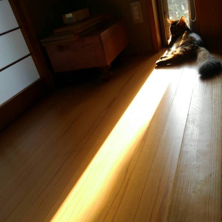 48d63ea5 fe1d 478d 82e8 0c0b4049662b 1566114694029