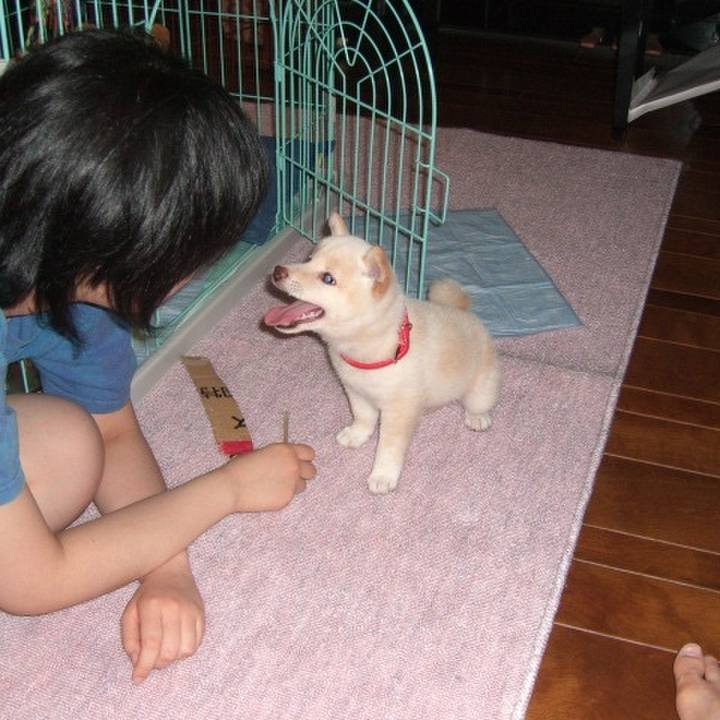 48d6491d d1b5 4056 9273 04892067c2d9 1634027079854