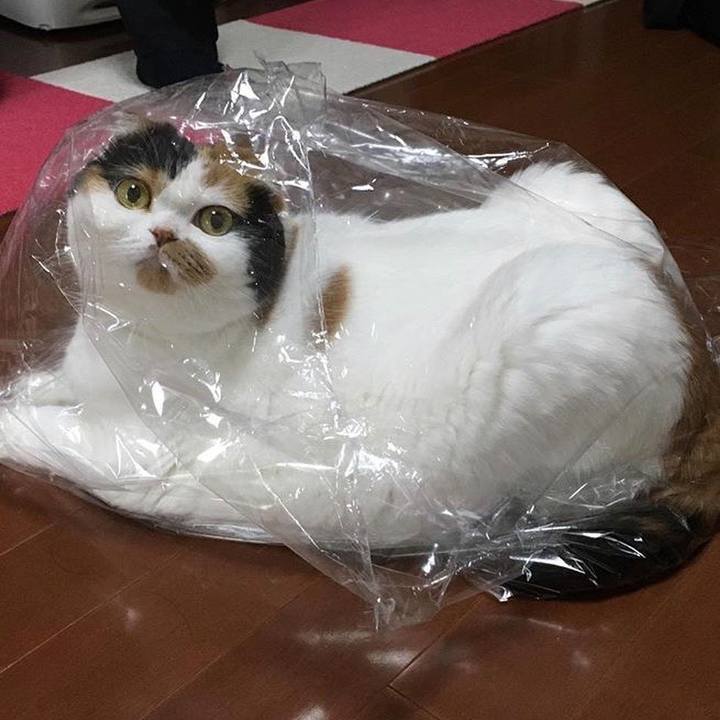 48d665c3 602d 40cb a744 629609aeca8b 1562934033975