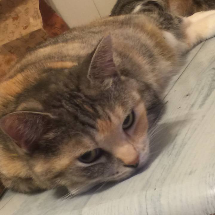 48d66c73 2df3 4125 afa5 ae6b93034580 1563983803802