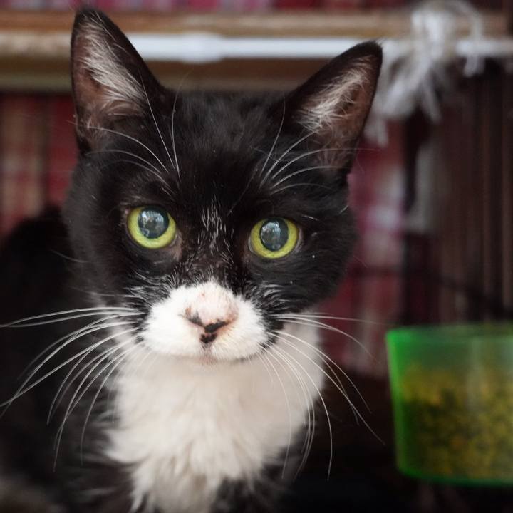 48d673d2 e0a5 443e 9d7f 38af599c67e6 1734784175815