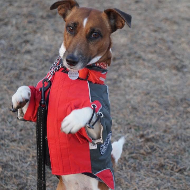 48d677e4 5a0a 4bbc 942f e0a1390342e3 1517787426422