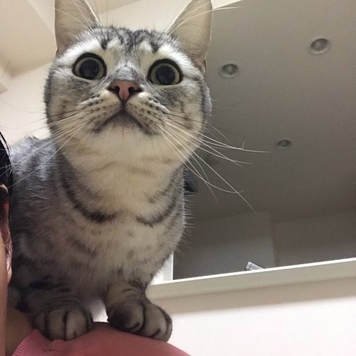 48d68cc9 2e71 4a58 b166 2c93948da0a6 1542638271614