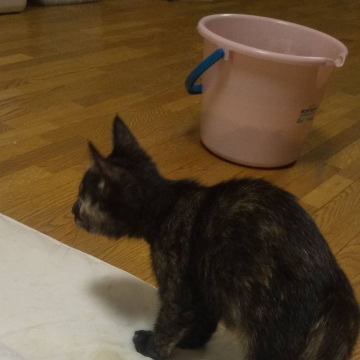 48d6b38e ee43 46ba 9955 10d9d31c9206 1721039573079