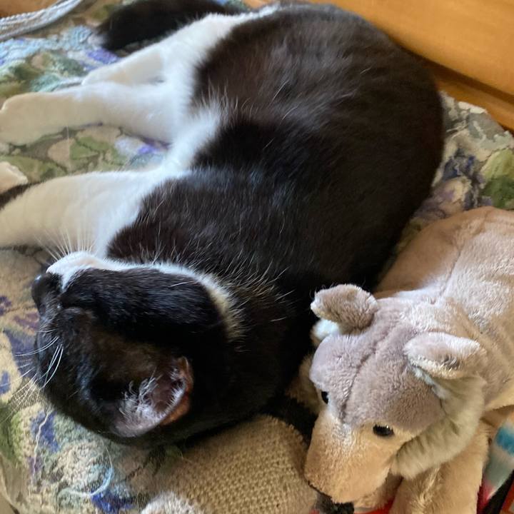 48d6ccdd 25f4 4dd4 904c 249c03076d55 1730803253724