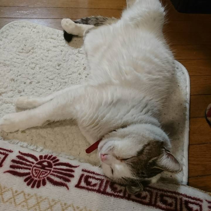 48d6cdcd 23bb 4ace a555 963073026135 1551707579282