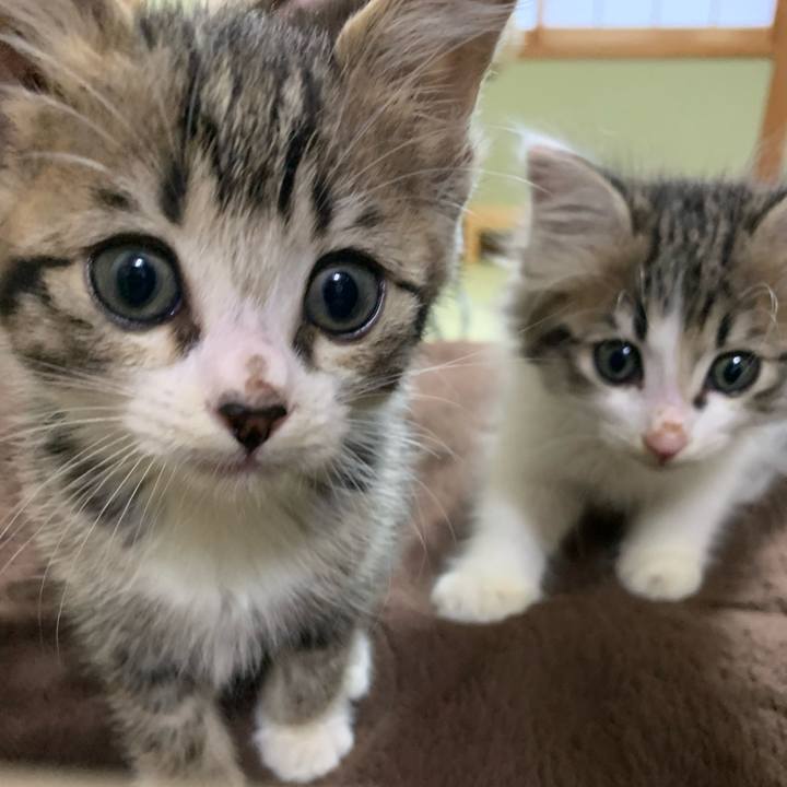 48d6d4a1 40a4 4a2e 9503 0998000b7654 1691365415945