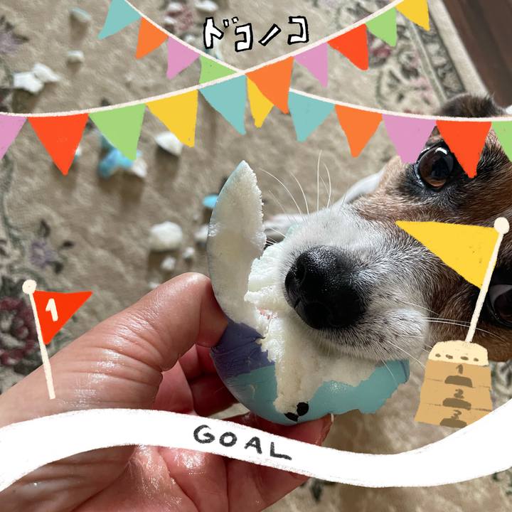 48d6d4e5 7f30 4974 98c8 371a36c1e976 1729131818031