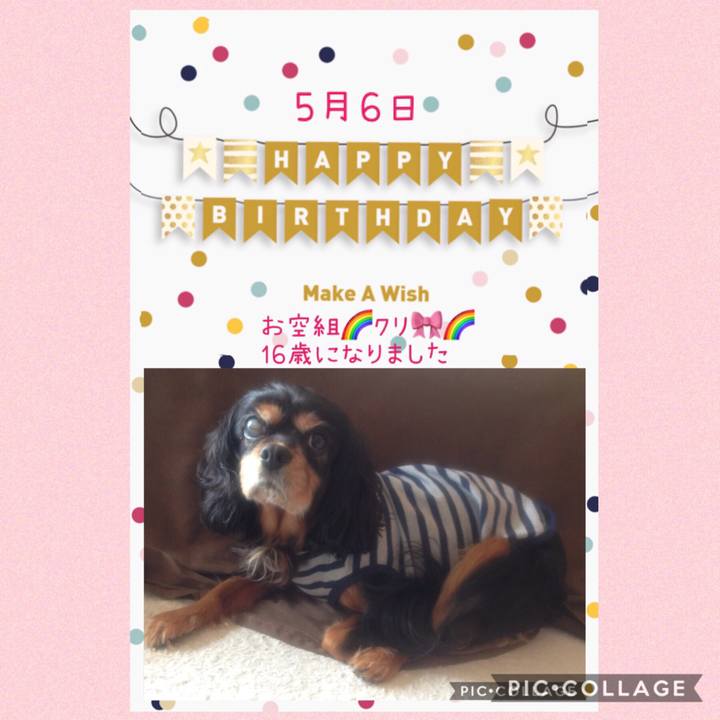 48d718c6 6f5f 440c 99a9 e4d96d69506c 1557096554215