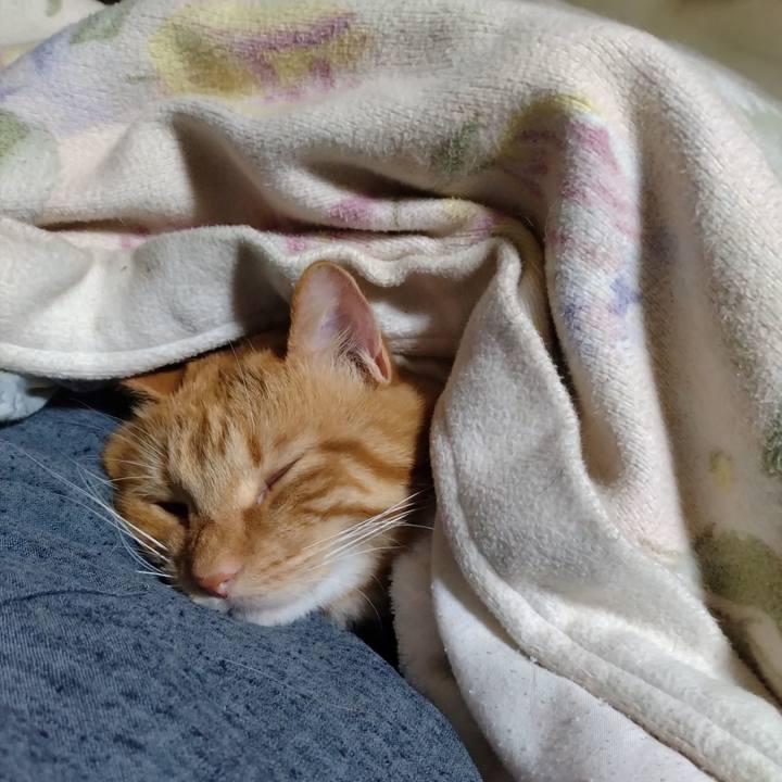 48d7639a e1c4 48e0 9eab c3ac776f1d25 1698061863280