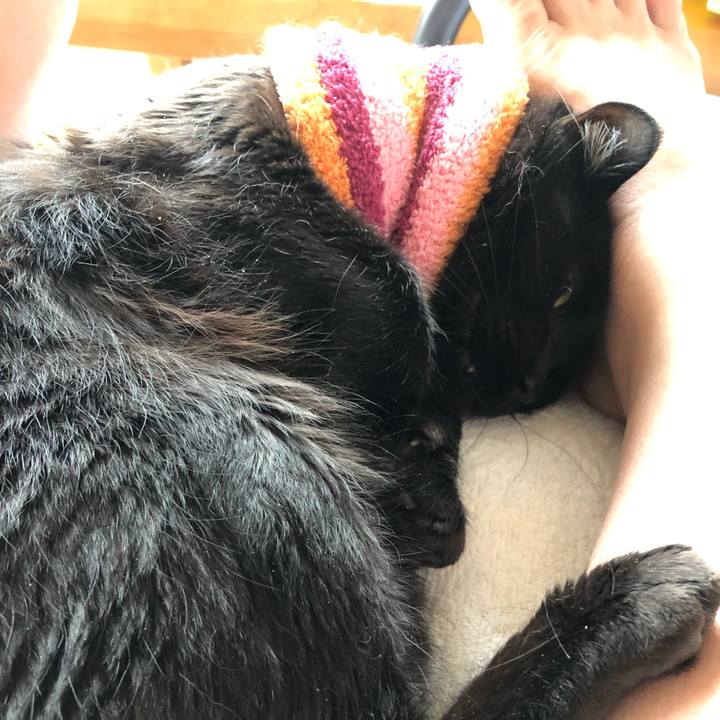 48d78c6b f084 4e72 8358 1bdce5275b34 1587860422479