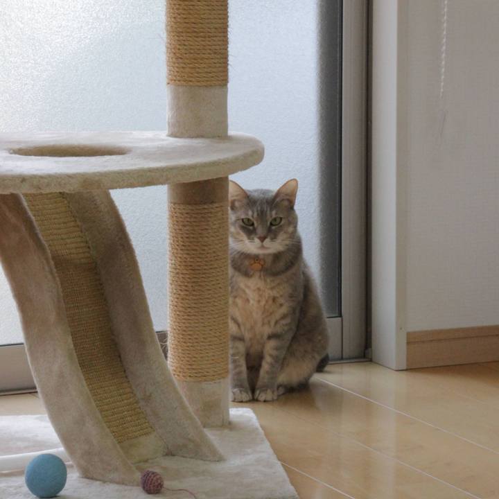 48d7979f ba8a 4ae6 a2da 7632892bd4e5 1616474242263