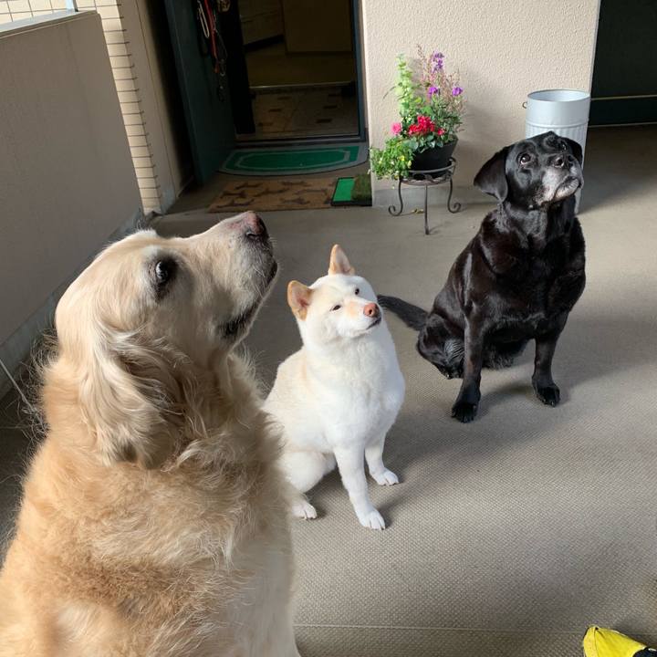 48d7a676 bd8b 489f 9e99 21691d0e30ad 1556666458767