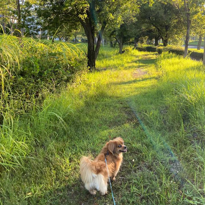 48d7b01e 4f30 4204 922d 8f6fffa7f4a9 1597527927859