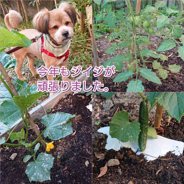 48d7bd6f 7e94 4d8f b984 92b811e55aac 1557871279050