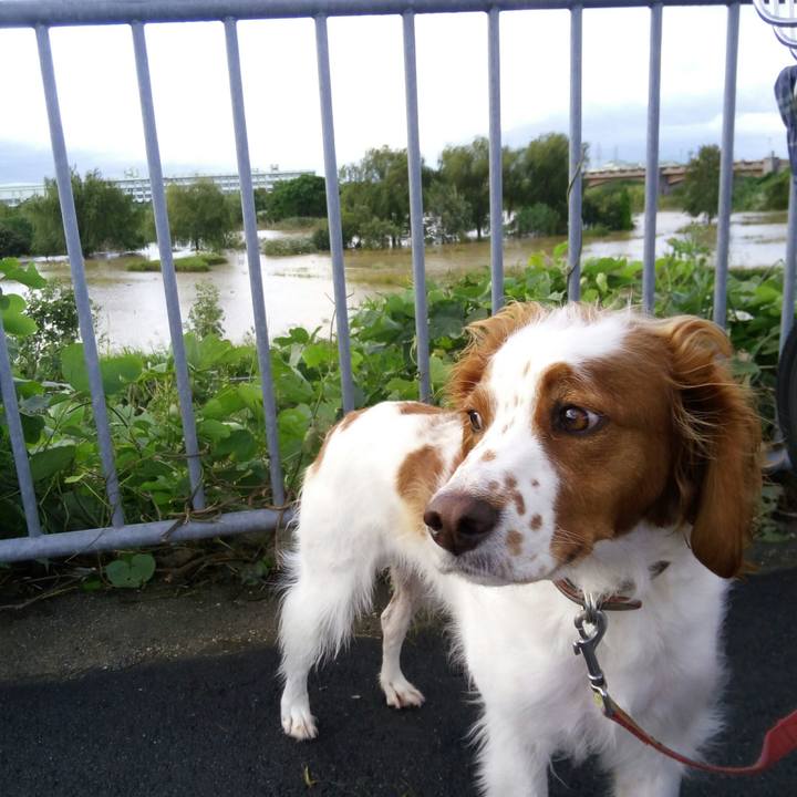 48d7cb41 7397 4af6 bf93 f375d5217d65 1508720917279