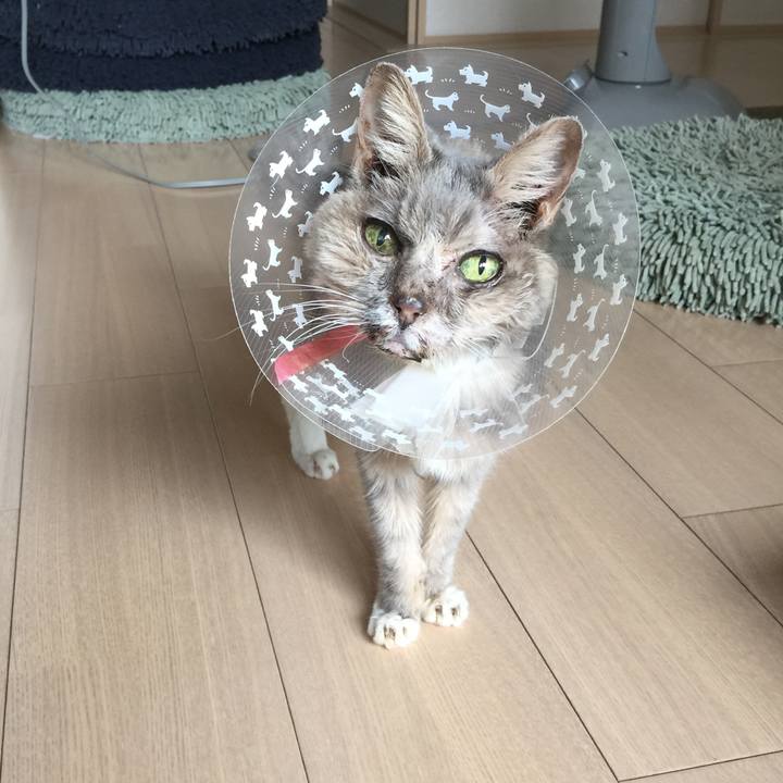 48d7e20b dbdd 4b13 aa04 ee8f5b26b72a 1553326512835