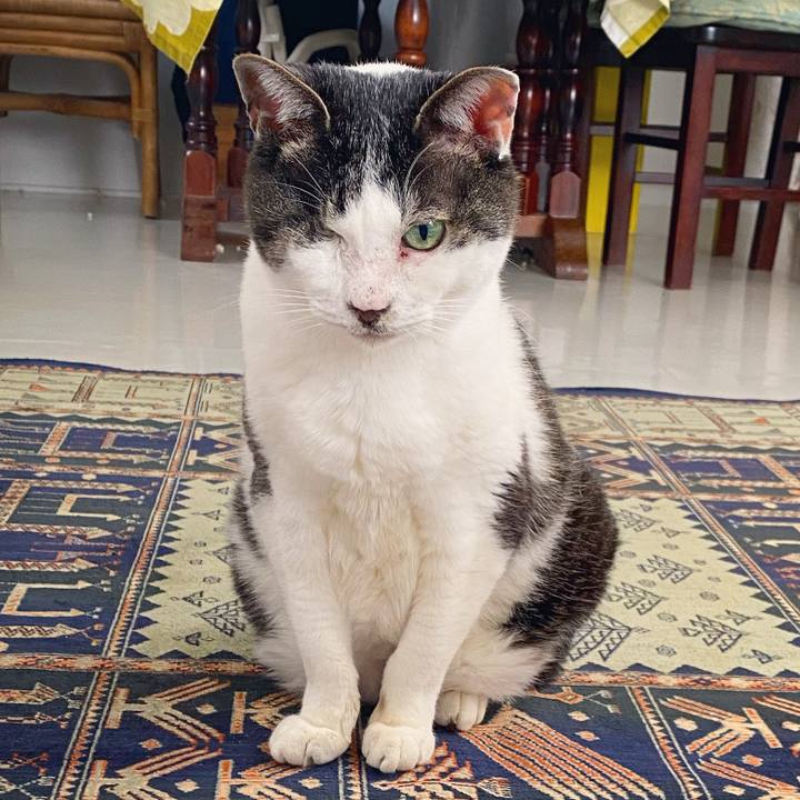 48d82ea9 772a 48dc 8c71 cd574878cc0c 1587111481123