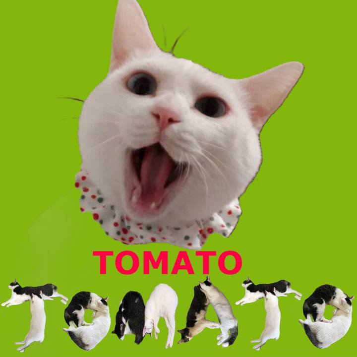 48d843ab 28e7 4312 a9a8 fd59adca01a2 1667437458530