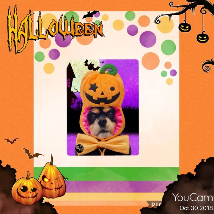 48d85deb 4e10 4c43 ae98 9e42598d428b 1604070646886