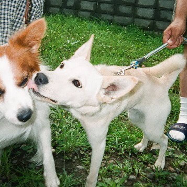 48d8a3f6 c06b 4615 a3a6 acc03e5e817e 1525955753399