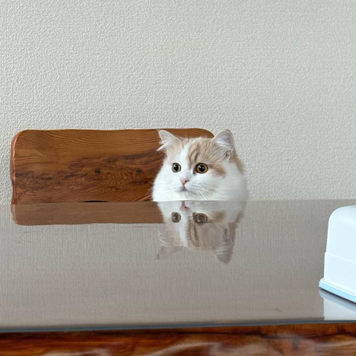 48d8abca 84ec 48d6 8c5b 5eb00cea83a1 1762554456461