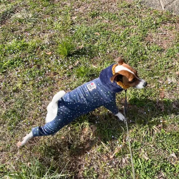 48d8c8e3 a9da 4c86 8c70 6d5a7c76a226 1648117206963