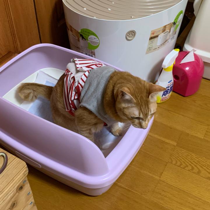 48d8ce13 43b3 4f1a 9782 3d7520171f98 1600174140636