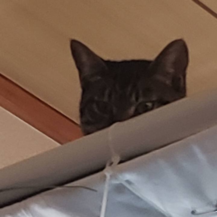 48d8ec05 b48a 4a63 bdfa b0f90e4ffc7b 1575900974373