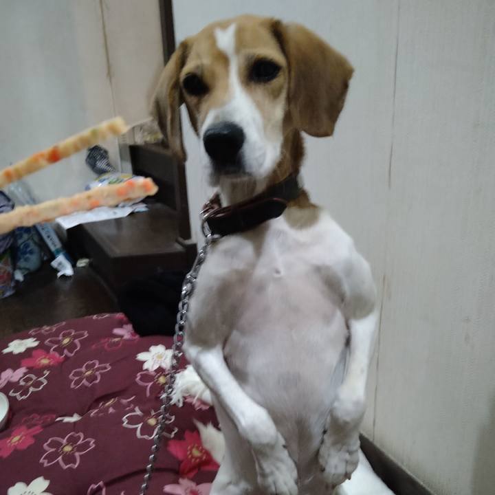 48d915c0 2a55 46e8 9174 4be520131b49 1636117498115