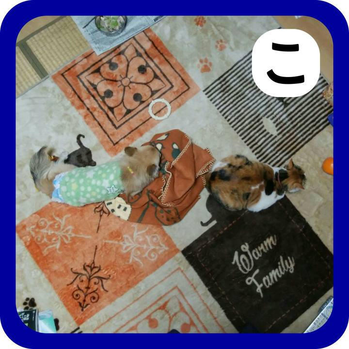 48d91613 4ef7 4711 b218 6bf6d32ce0cf 1514790811545