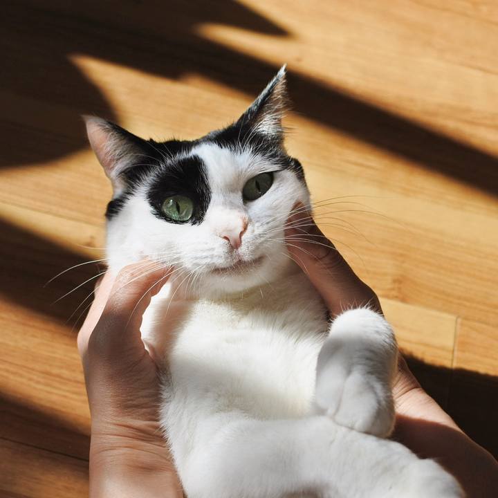 48d92a1b f5cb 4605 9562 3e1b0fde9aaa 1697943283657