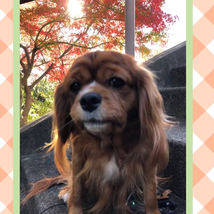 48d98ba4 db1f 453b ad14 d9b206376dfc 1575161600658