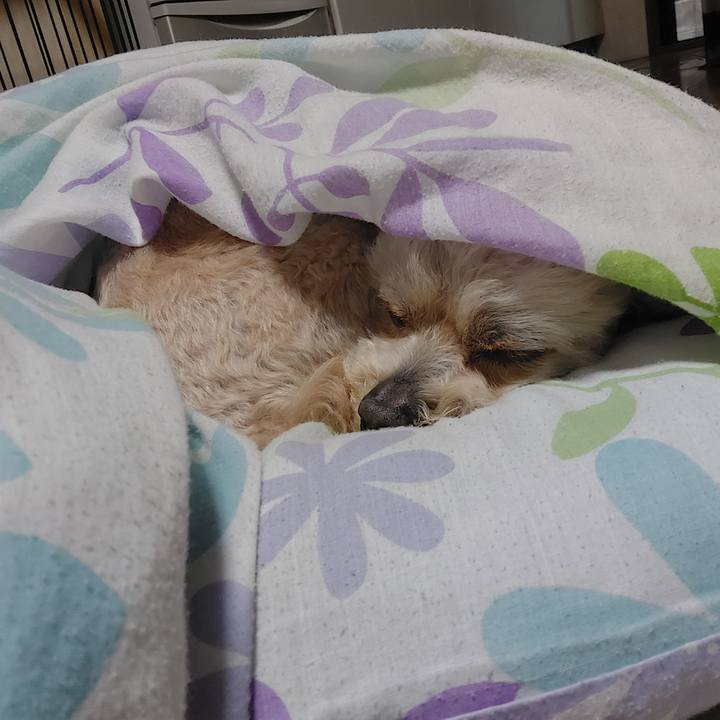 48d99398 bd84 4f13 b841 8ce29d473d53 1652743432288