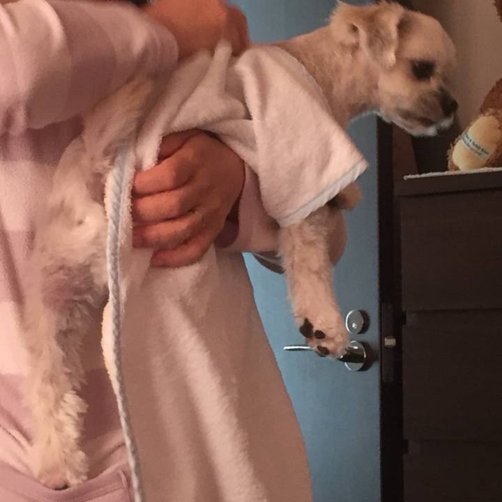 48d9a915 06d4 45ca 9d7d c0c00e152142 1513500455651