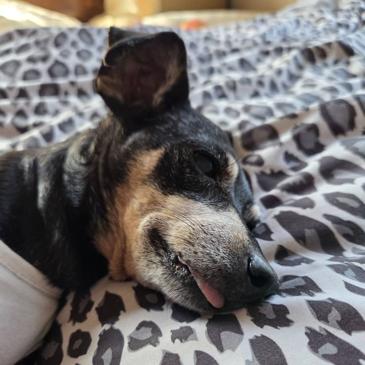 48d9b3f0 5022 4828 87f8 91604f9258bf 1756255529047