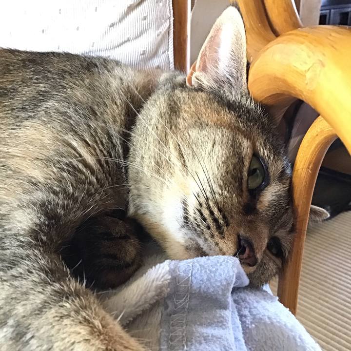 48d9d3de 0282 45fb a056 fa32a5e272c3 1628135044421