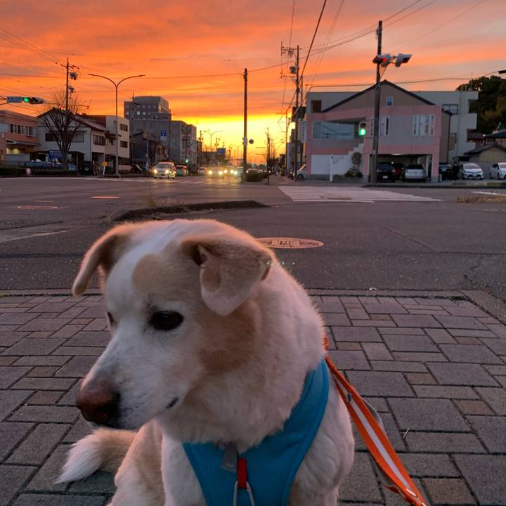 48d9fc40 df0a 4bb7 a4c1 359ea5fb751e 1678700890911