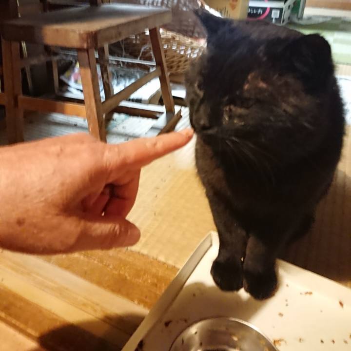 48da3764 d420 4501 9786 dba01b621be2 1616585186548