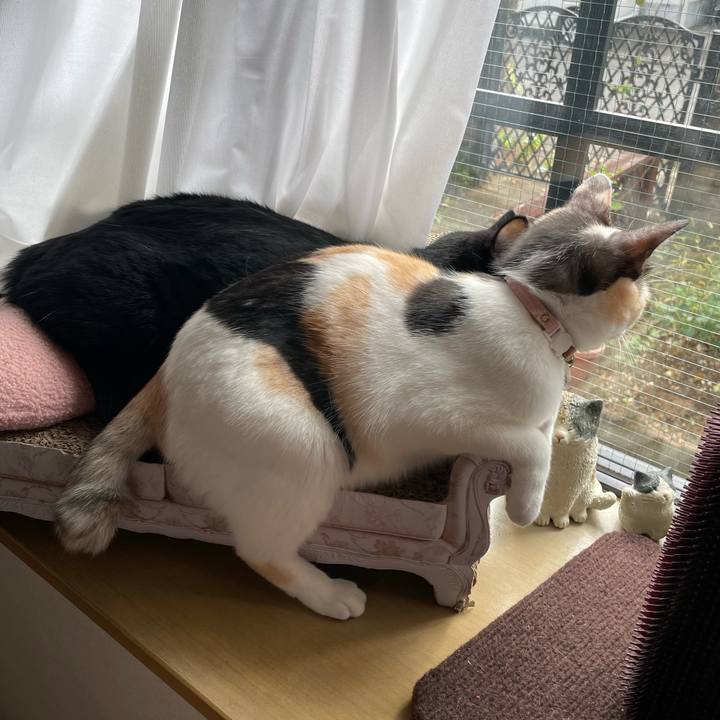 48da5c64 bde5 4746 90fa 417b318c97cd 1696724505097