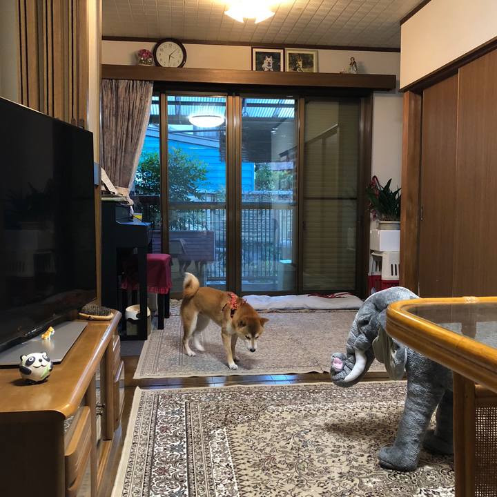 48da9e28 f396 405b 85c6 c0646cdca35f 1535369674994