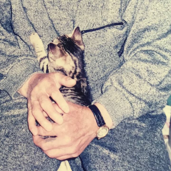 48dab3d6 33d8 4aaf be98 cfe0a18c3a38 1515325099312