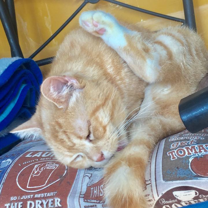 48dadcbf 3a1a 45fc a736 9954b1657c95 1576028519104